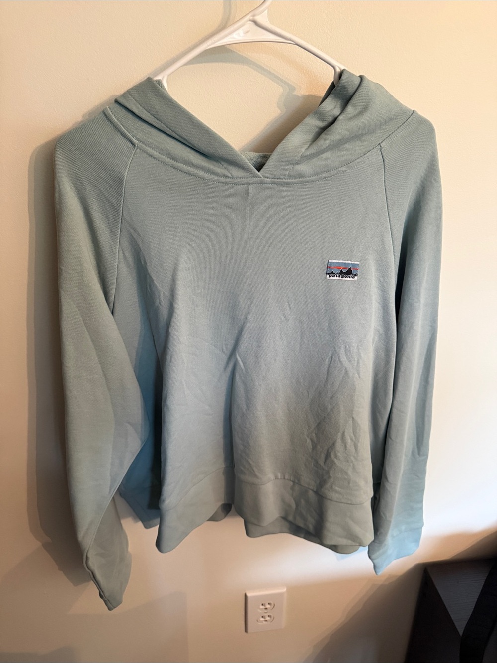 Patagonia cropped hoodie